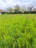 Image du bien UBI438145106